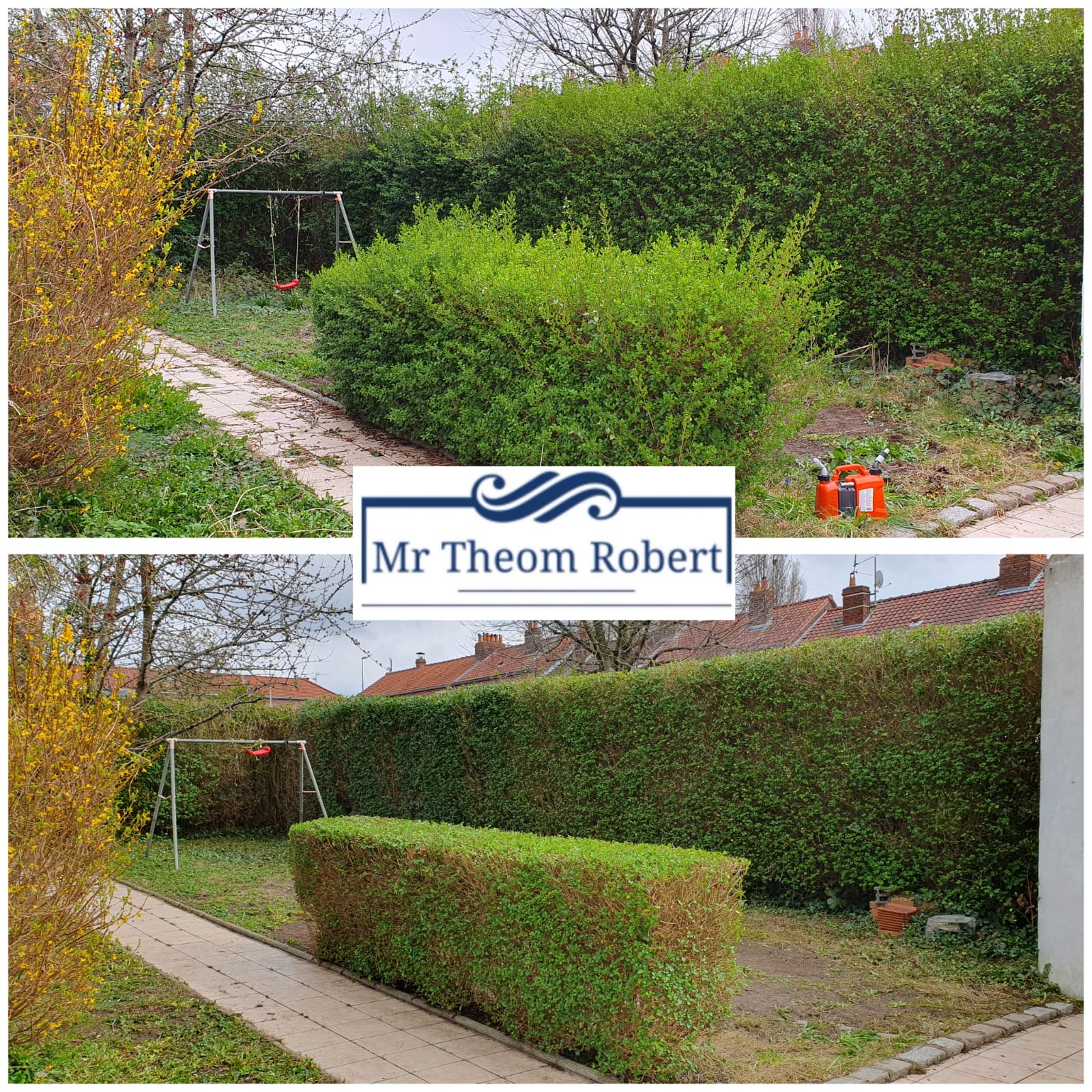 Taille de haies - Photo 5