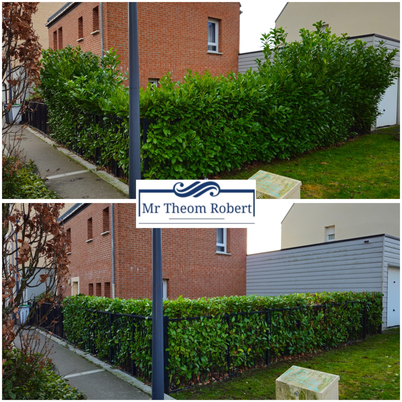 Taille de haies - Photo 4