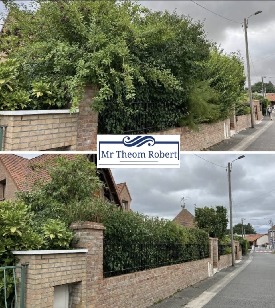 Taille de haies - Photo 3