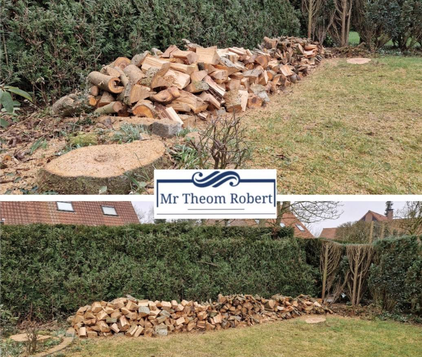 Rognage de souches - Photo 6